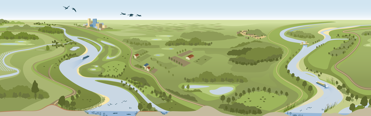 Een schets van het Rivierengebied in het streefbeeld, gezien vanuit de lucht. Langs de rivieren liggen ruime, groene uiterwaarden en ook binnendijks is er natuur. Er liggen ook dorpen en steden en is er beroepsscheepvaart op de rivieren.