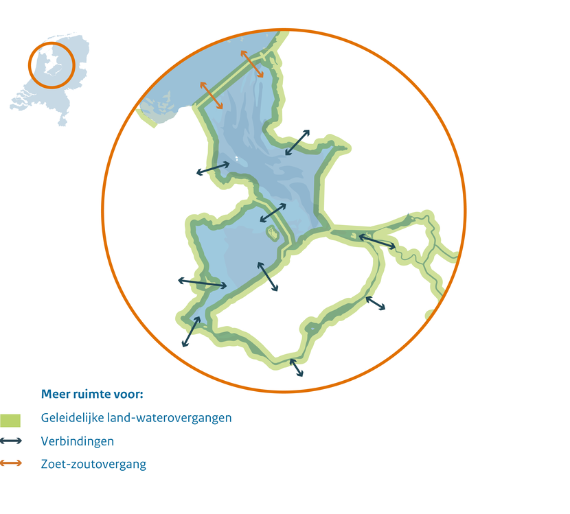 Een kaart van het IJsselmeergebied die schematisch het streefbeeld weergeeft. Er is meer ruimte voor geleidelijke land-water-overgangen langs de oevers, verbindingen met de omgeving en voor zoet-zoutovergangen bij de Afsluitdijk.