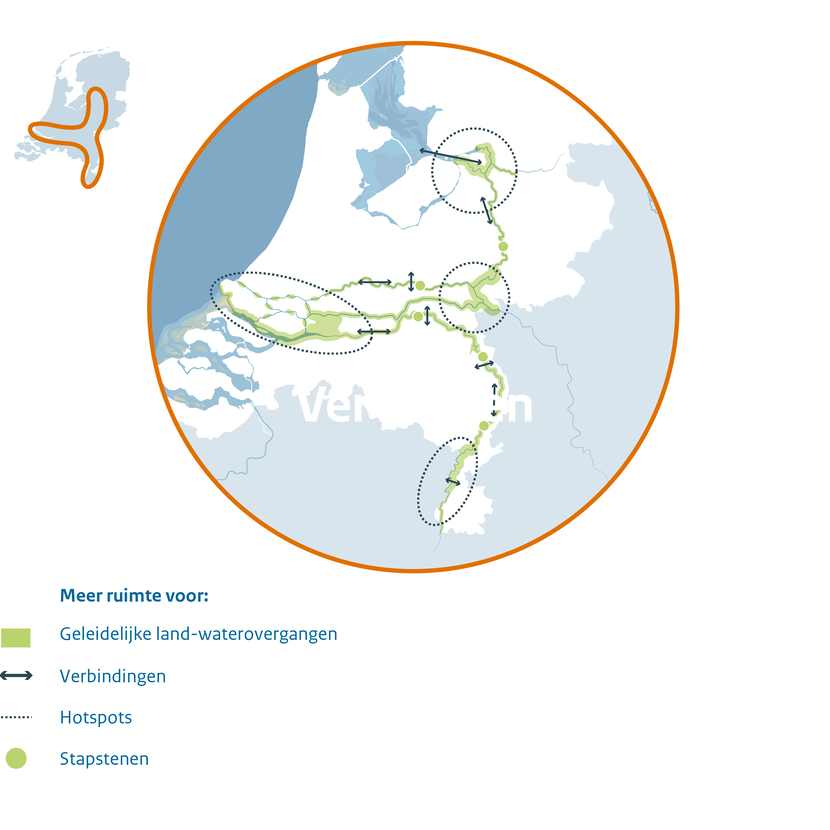 Een kaart van het Rivierengebied van de Rijntakken en de Maas die schematisch het streefbeeld weergeeft. Er is meer ruimte voor geleidelijke land-waterovergangen en voor verbindingen in de lengterichting en dwars op de rivieren. Er zijn vier hotspots: rond de IJssel-Vechtdelta, de Gelderse Poort, de Grensmaas en de Biesbosch. Tussen de hotspots is ruimte voor kleinere stapstenen.