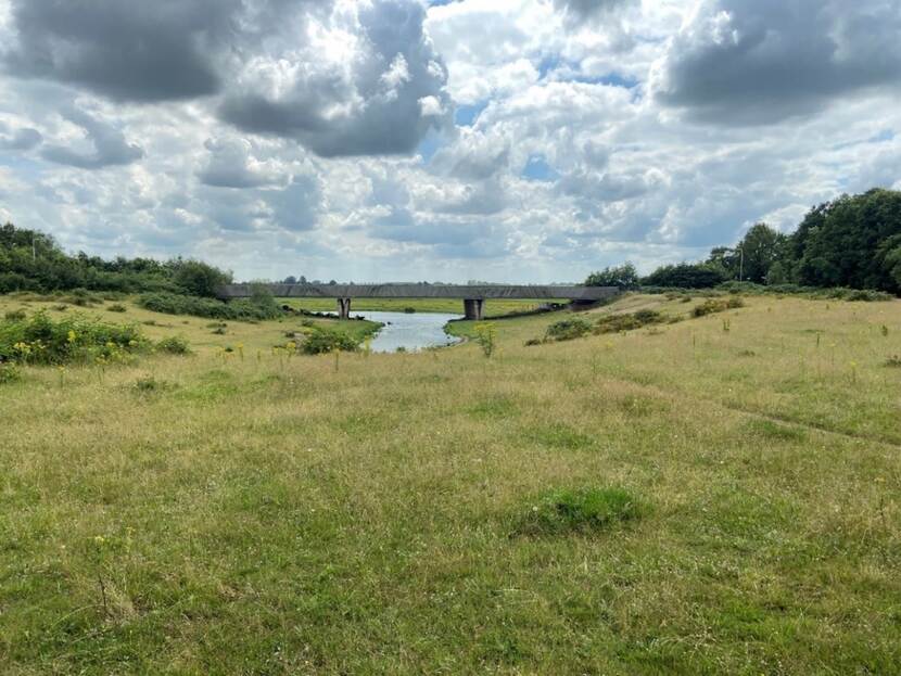 Groen grasland met groene bomen. Schapenwolken met blauwe lucht. En water in vorm van een uiterwaarde.